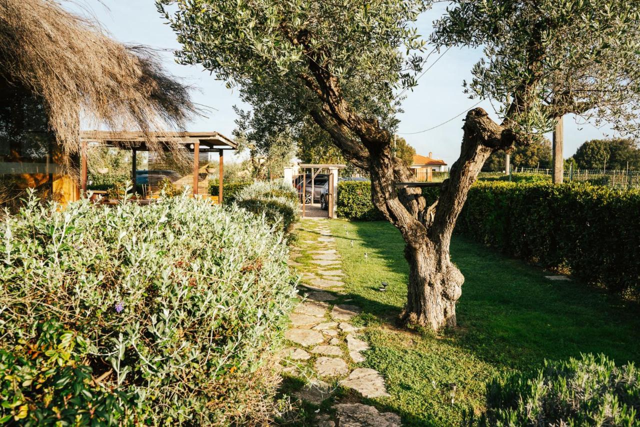 Agriturismo Sweet Cottage มารีนาดีกรอซเซโต ภายนอก รูปภาพ