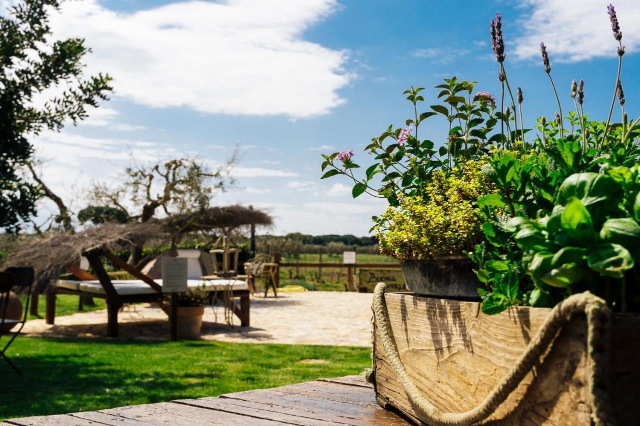 Agriturismo Sweet Cottage มารีนาดีกรอซเซโต ภายนอก รูปภาพ
